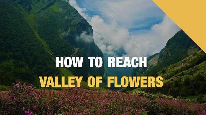 Valley of Flowers Trek 2025: Best Time, Difficulty & Itinerary